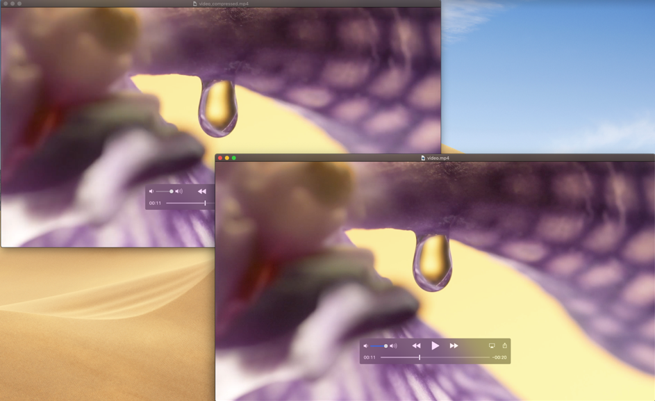 video5.png